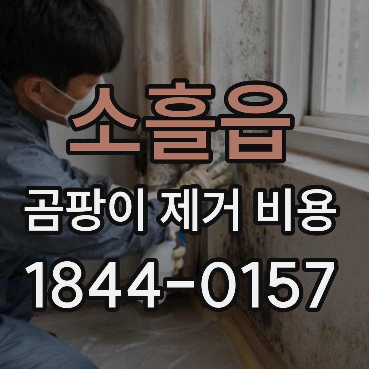 소흘읍 곰팡이 제거 비용