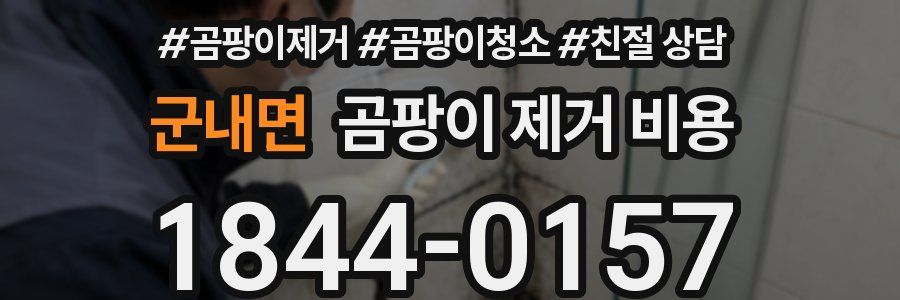 군내면 곰팡이 제거 비용