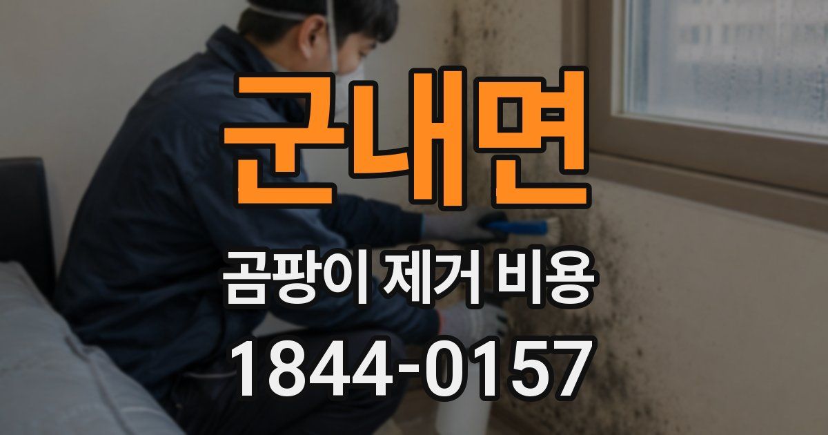 군내면 곰팡이 제거 비용