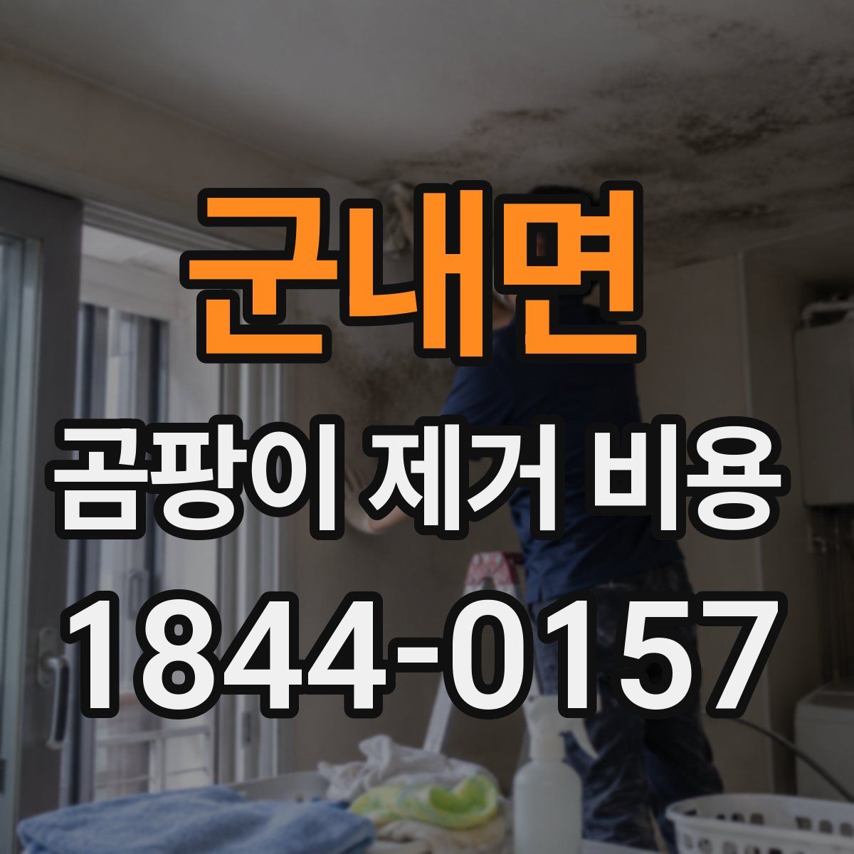 군내면 곰팡이 제거 비용