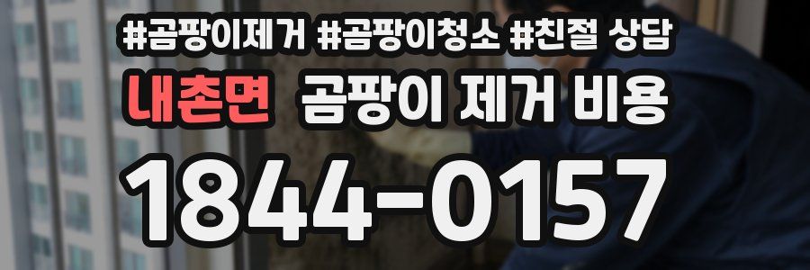 내촌면 곰팡이 제거 비용