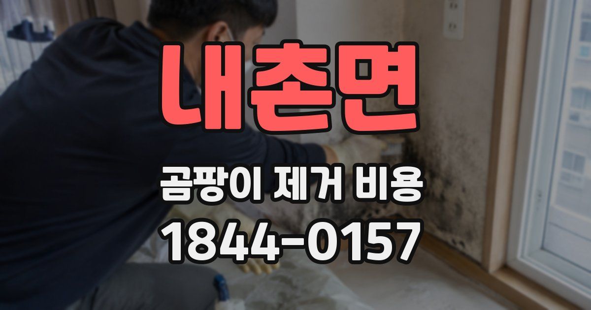 내촌면 곰팡이 제거 비용