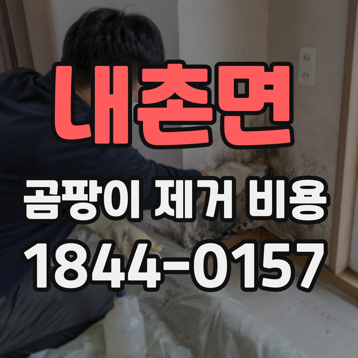 내촌면 곰팡이 제거 비용
