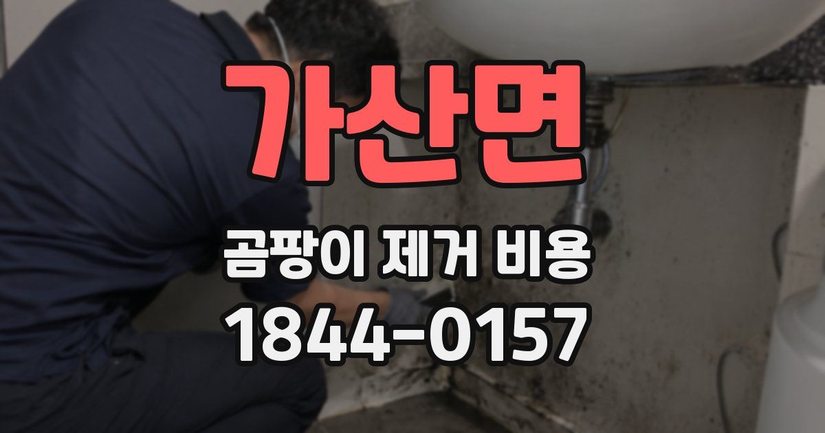 가산면 곰팡이 제거 비용