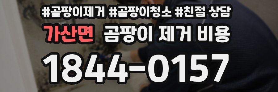 가산면 곰팡이 제거 비용