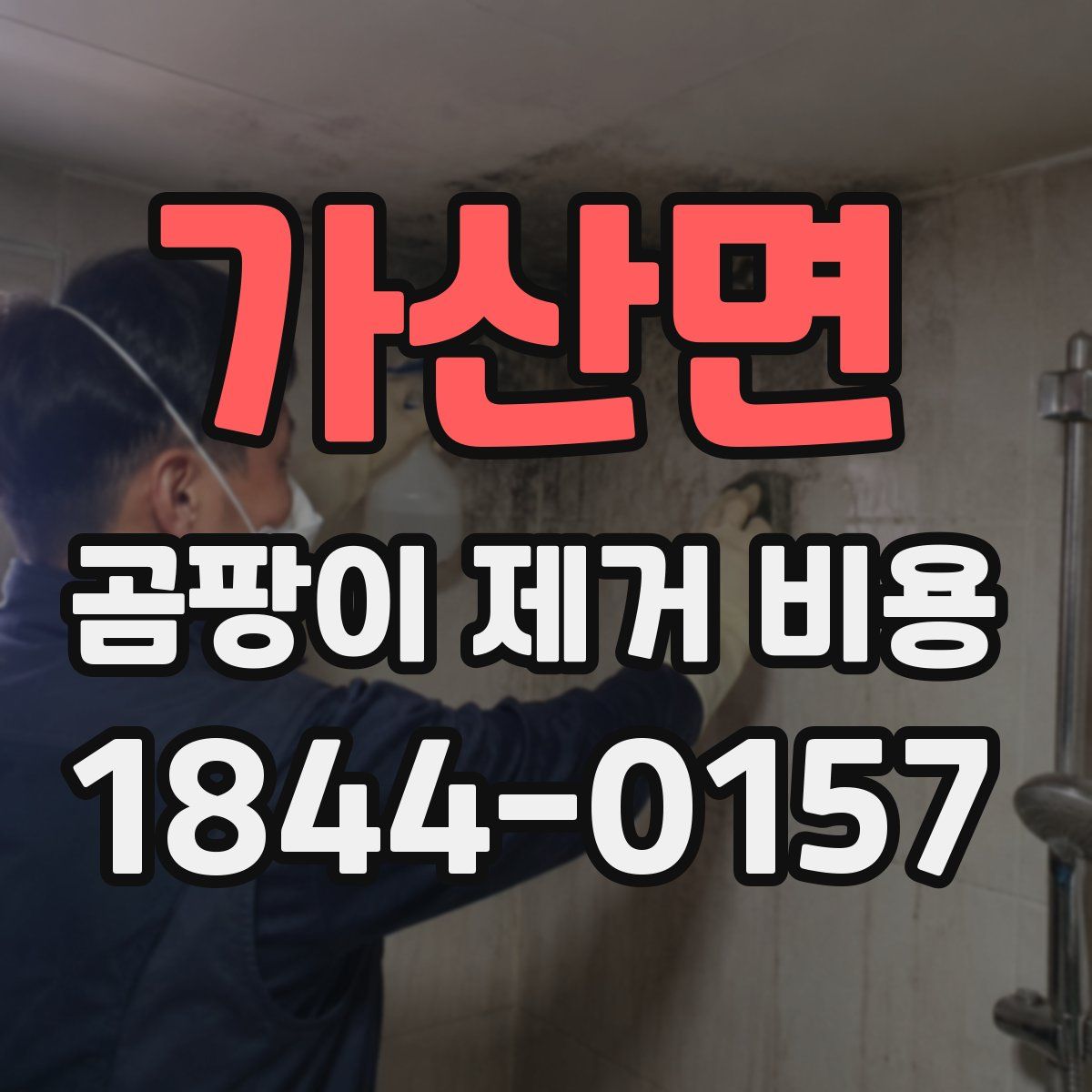 가산면 곰팡이 제거 비용