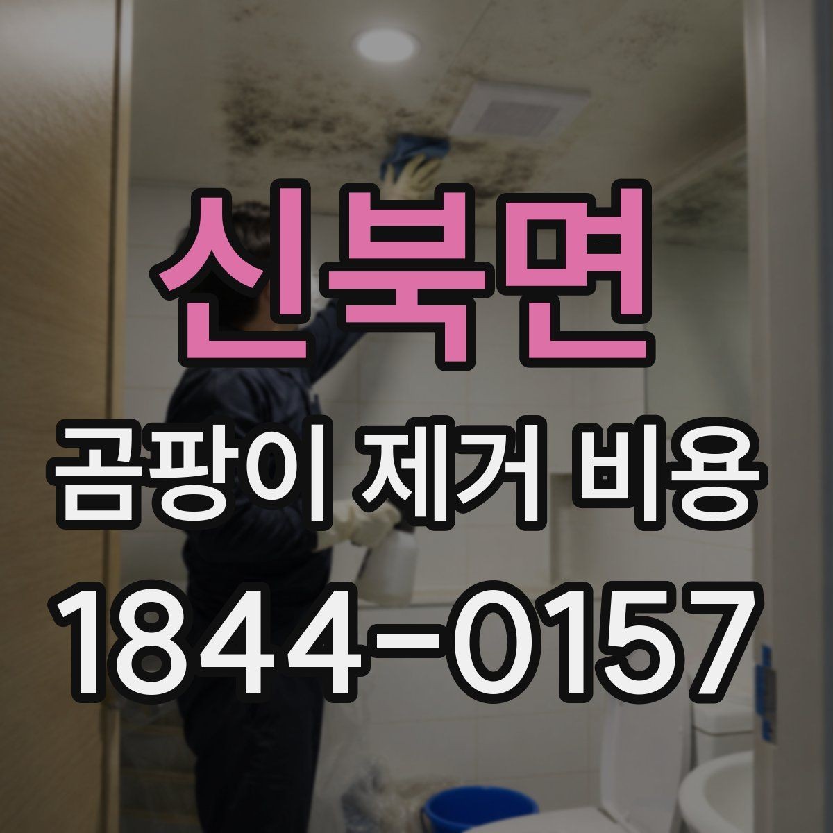 신북면 곰팡이 제거 비용 비교 시 서비스 범위 보는 법