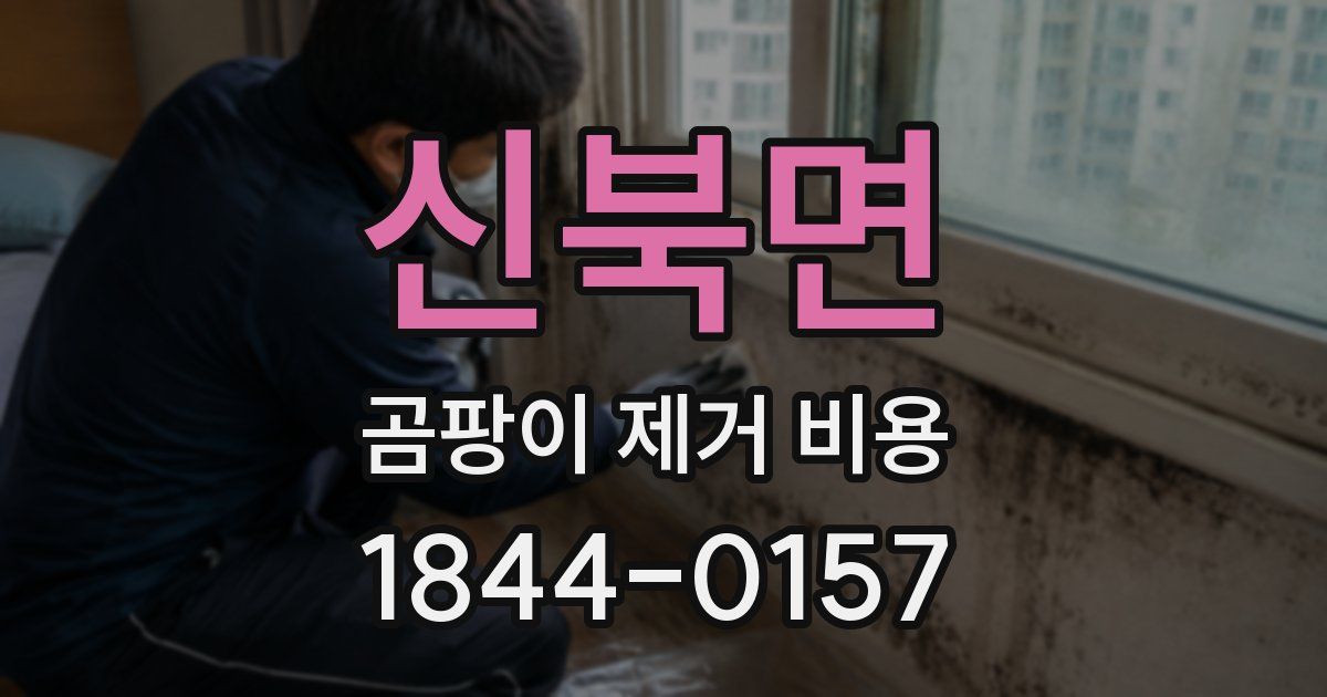 신북면 곰팡이 제거 비용