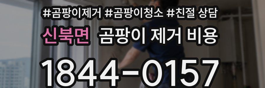 신북면 곰팡이 제거 비용