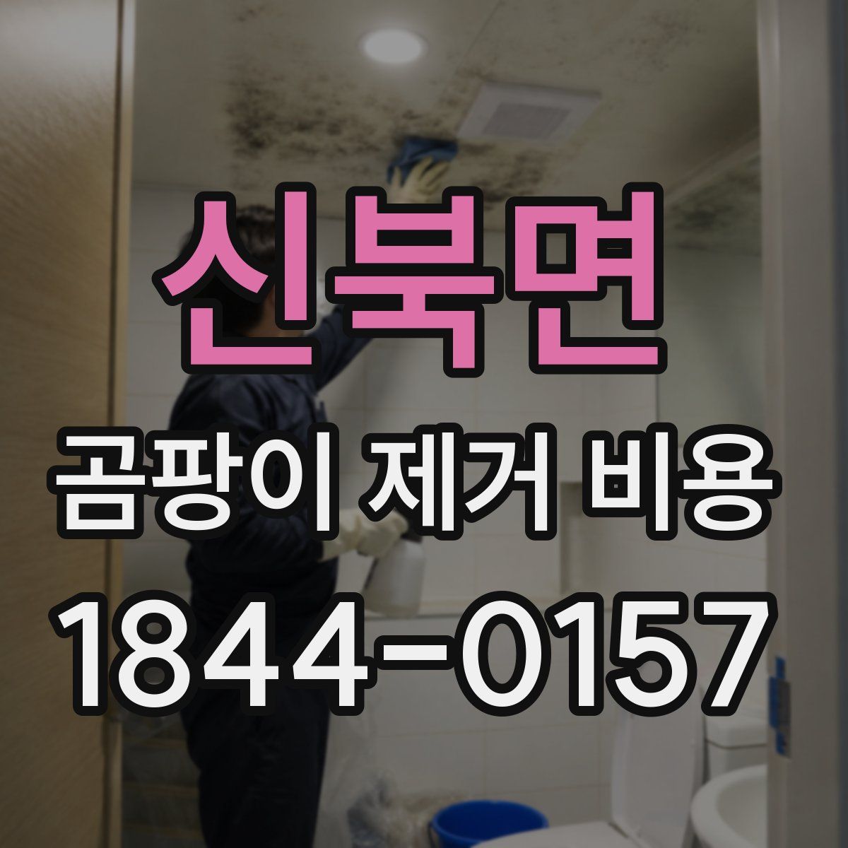 신북면 곰팡이 제거 비용