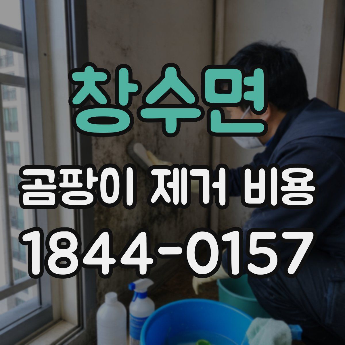 창수면 곰팡이 제거 비용