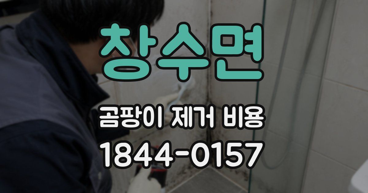 창수면 곰팡이 제거 비용