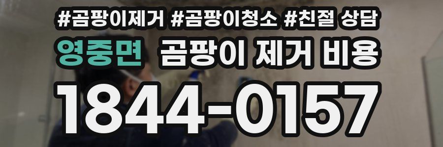 영중면 곰팡이 제거 비용