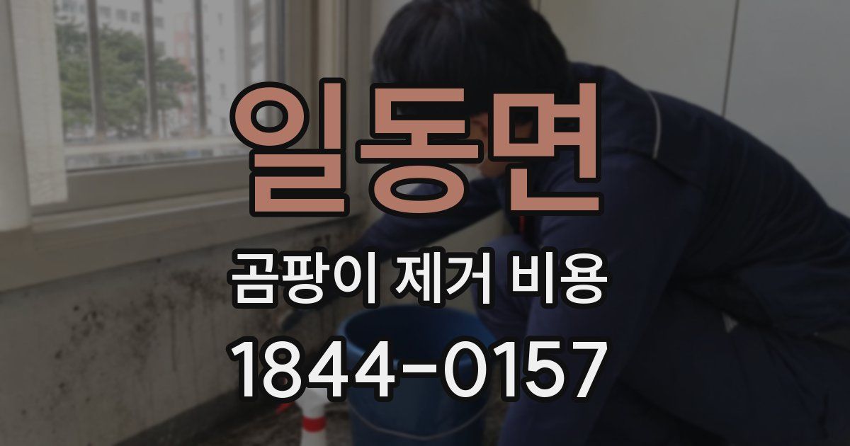 일동면 곰팡이 제거 비용