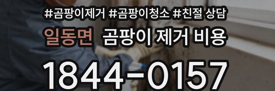 일동면 곰팡이 제거 비용