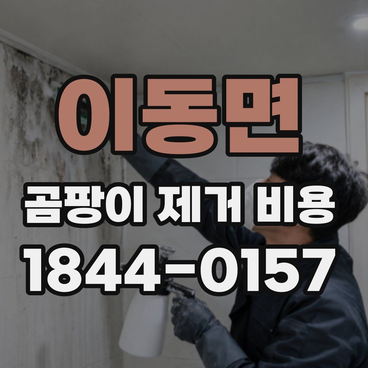 이동면 곰팡이 제거 비용