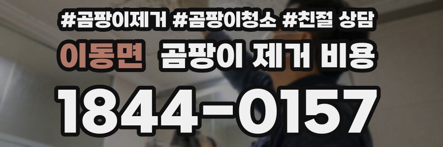 이동면 곰팡이 제거 비용