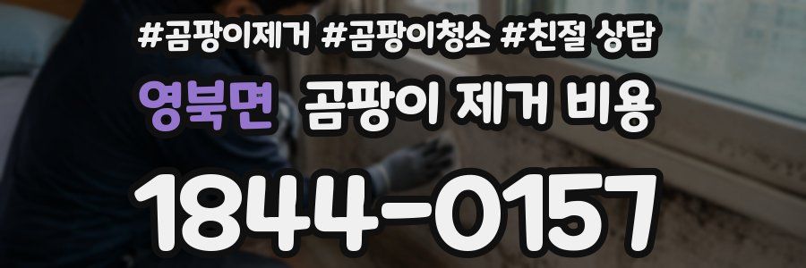 영북면 곰팡이 제거 비용