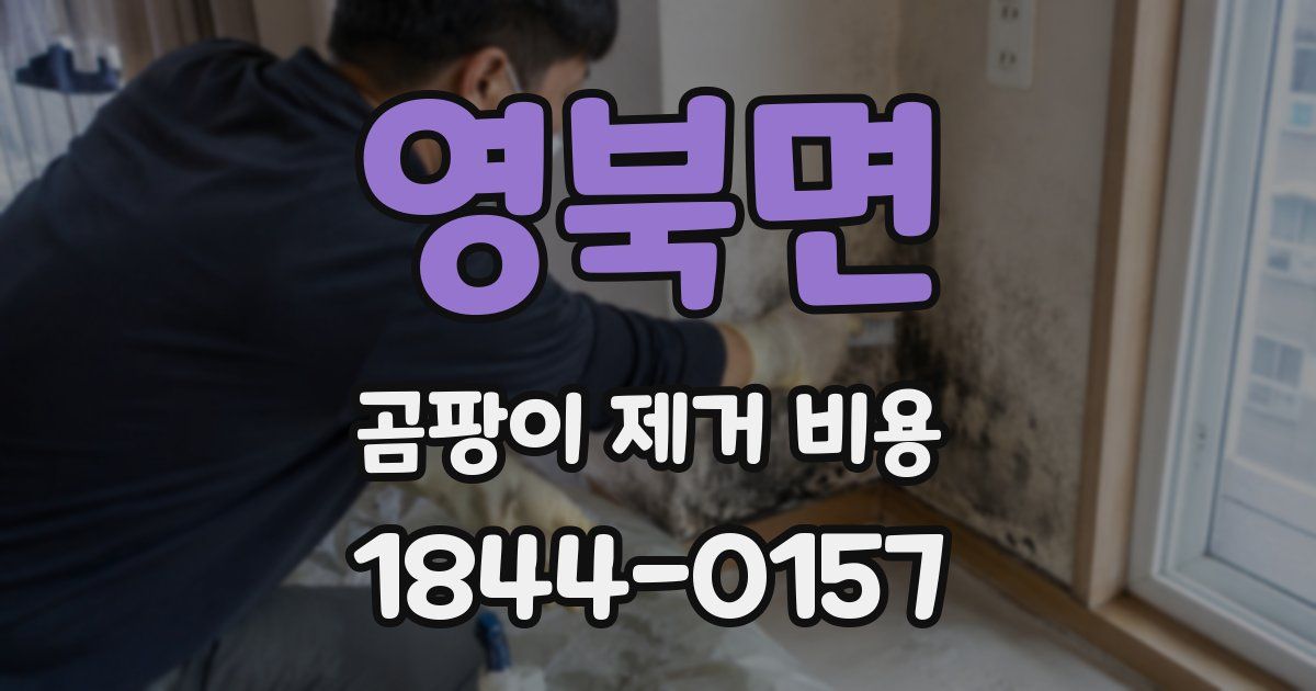 영북면 곰팡이 제거 비용