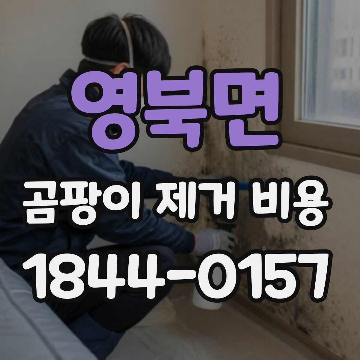영북면 곰팡이 제거 비용