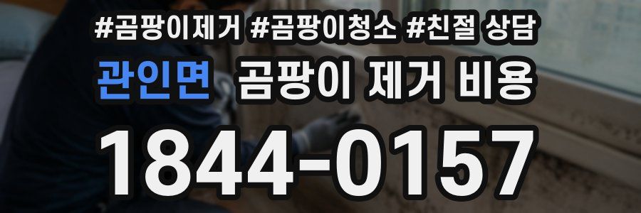 관인면 곰팡이 제거 비용