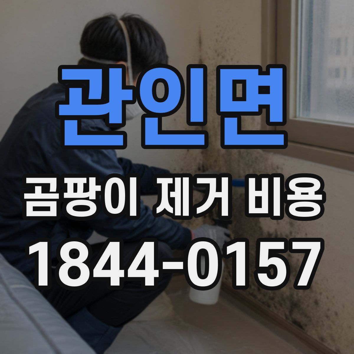 관인면 곰팡이 제거 비용
