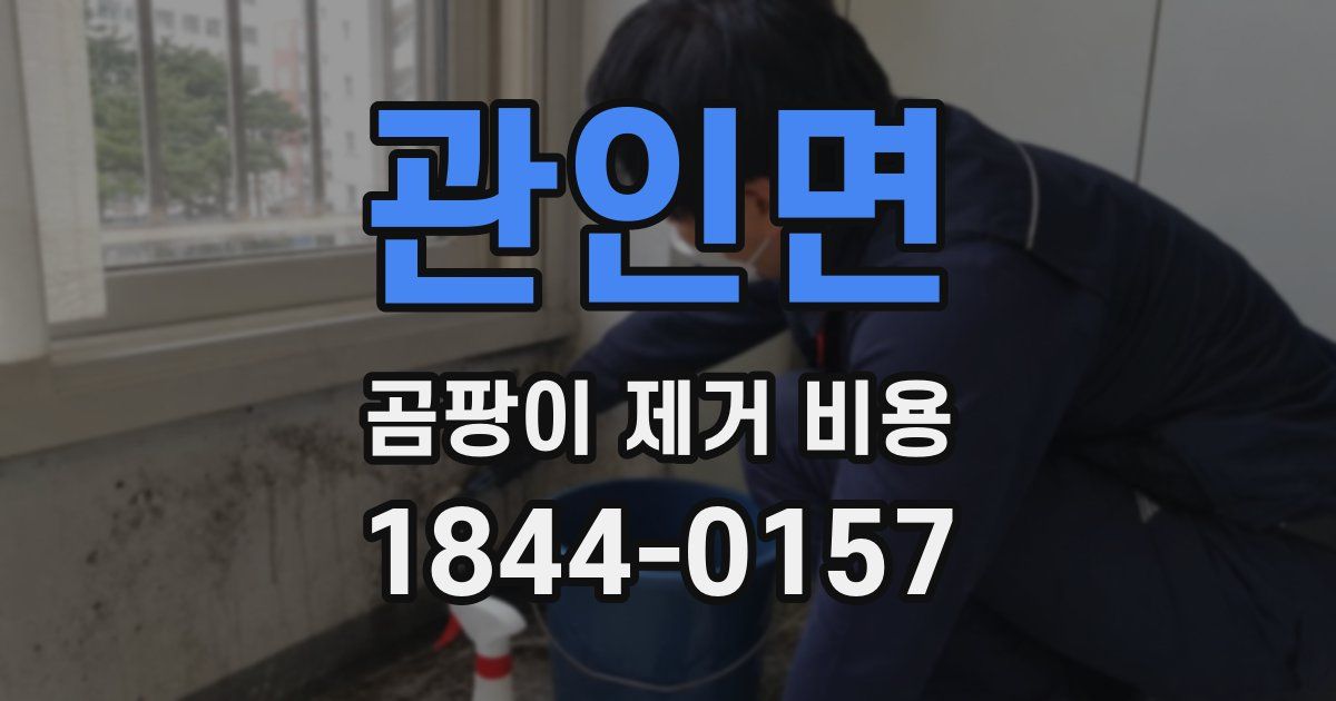 관인면 곰팡이 제거 비용