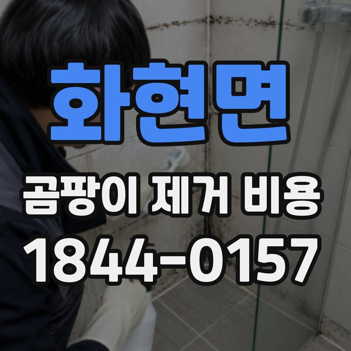 화현면 곰팡이 제거 비용 정확한 견적을 위해 필요한 정보