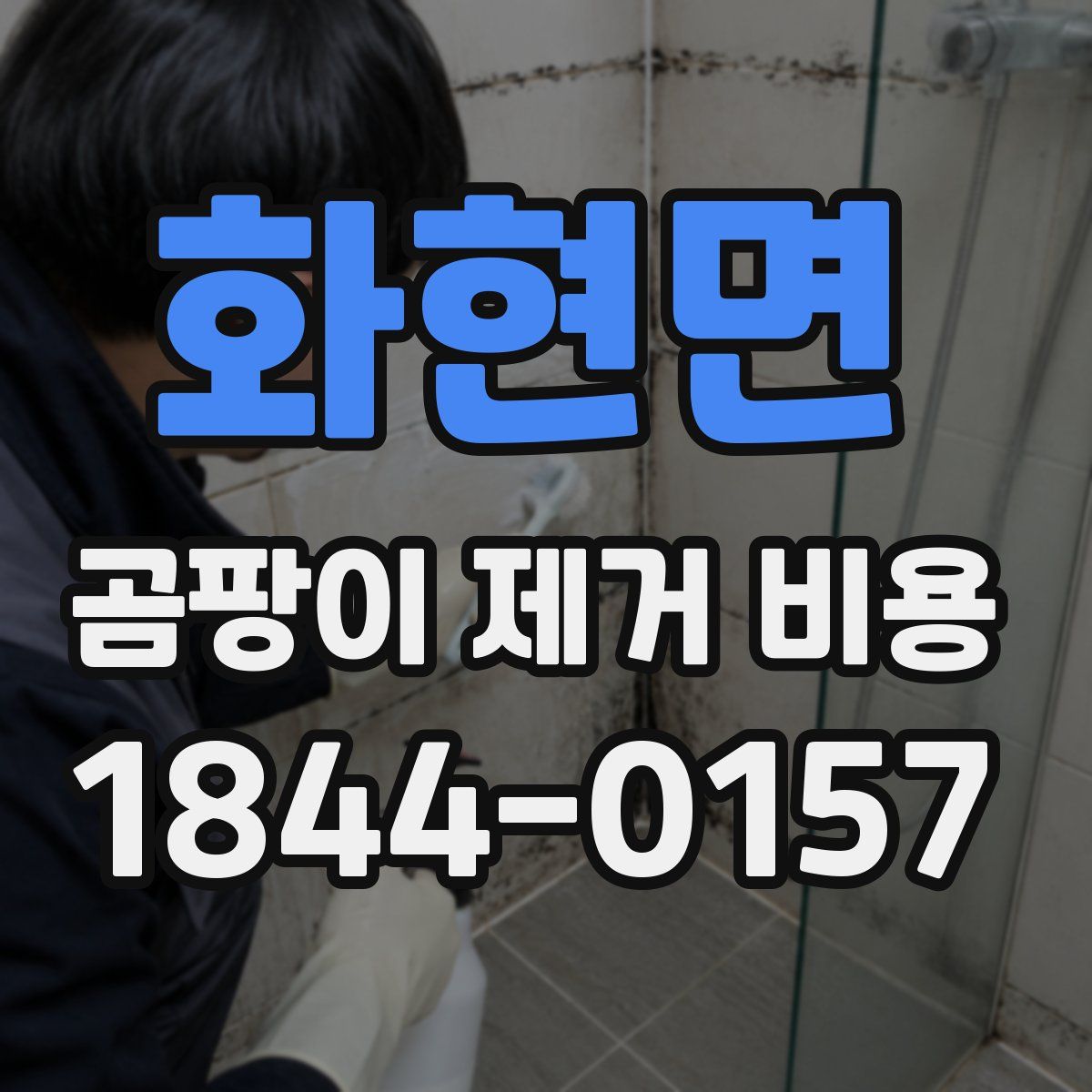 화현면 곰팡이 제거 비용