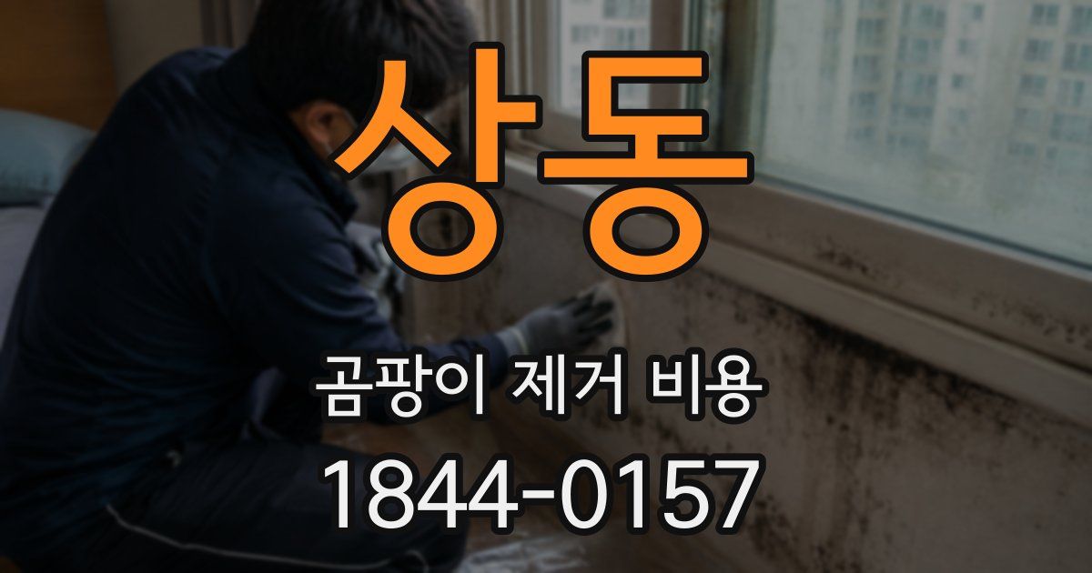 상동 곰팡이 제거 비용