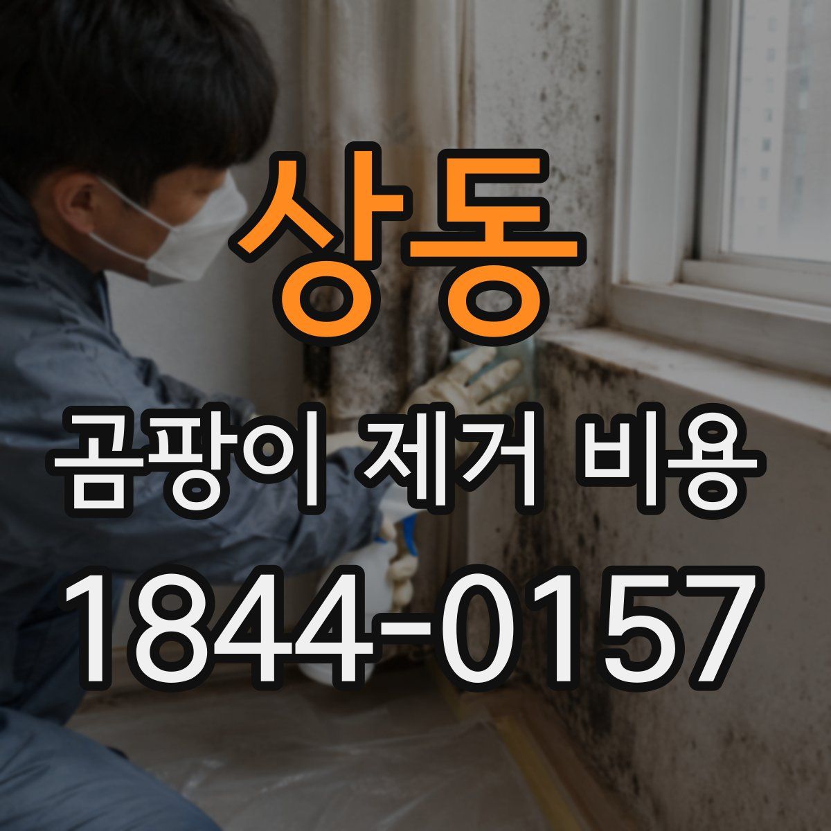 상동 곰팡이 제거 비용