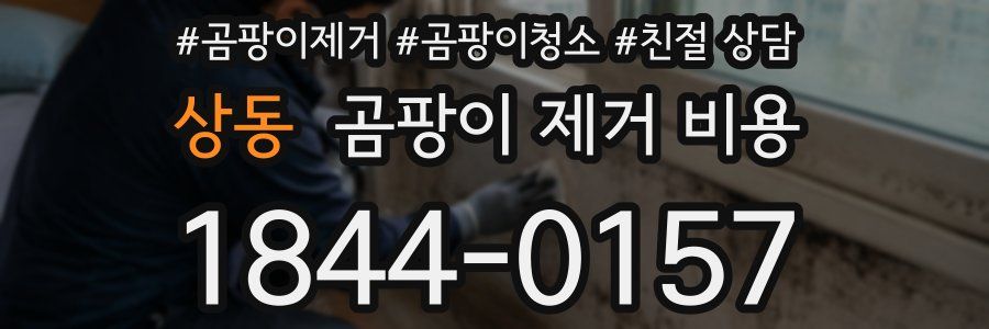 상동 곰팡이 제거 비용