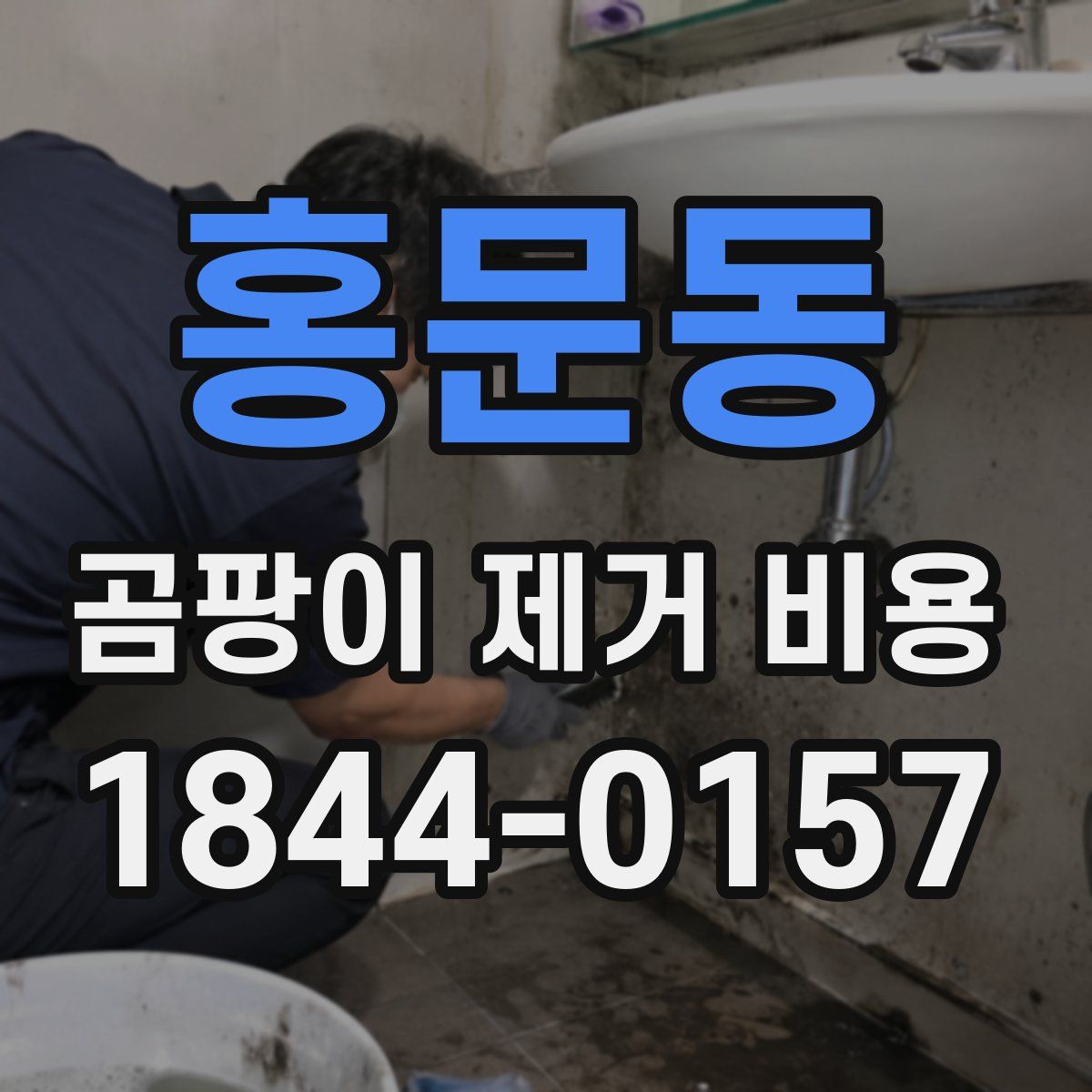 홍문동 곰팡이 제거 비용