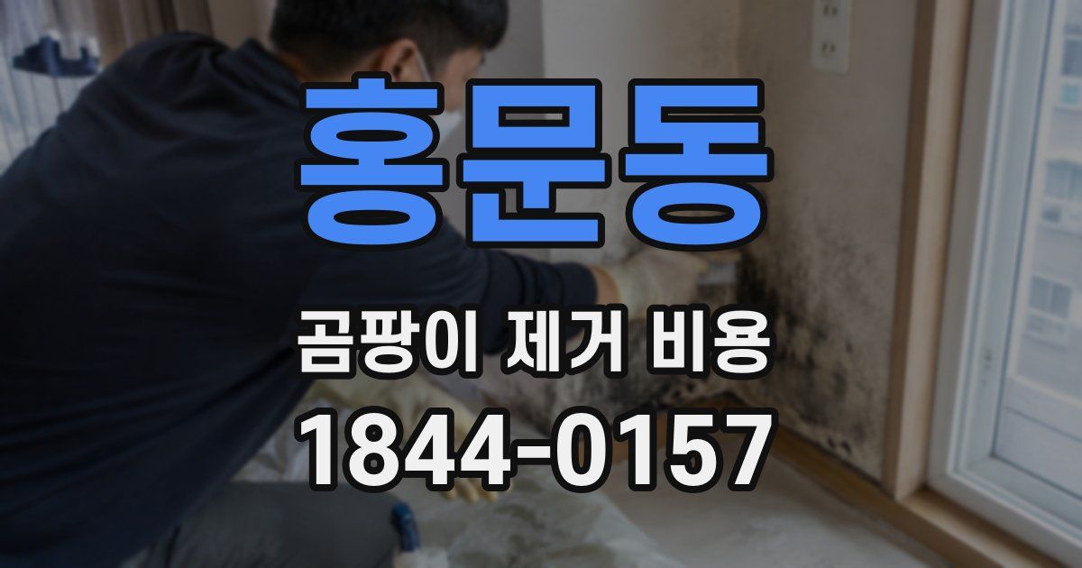 홍문동 곰팡이 제거 비용