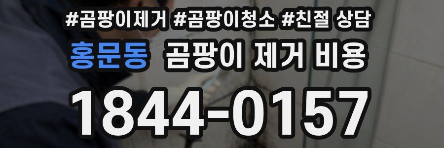 홍문동 곰팡이 제거 비용