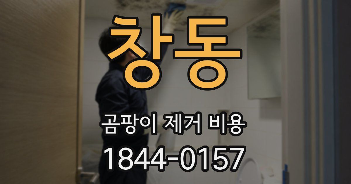 창동 곰팡이 제거 비용