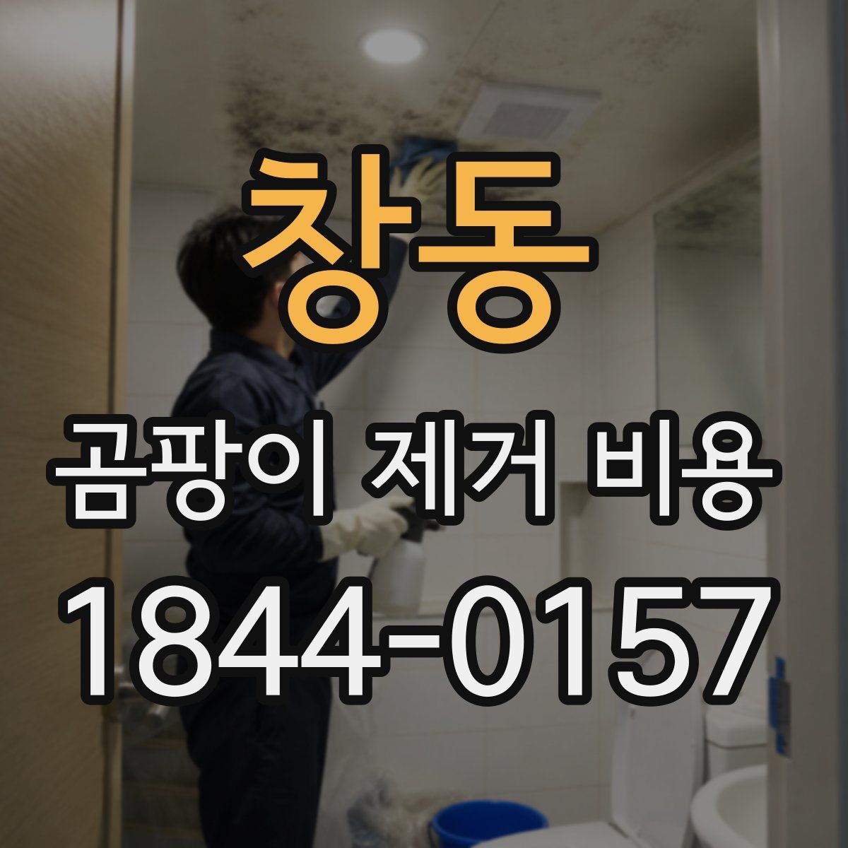 창동 곰팡이 제거 비용