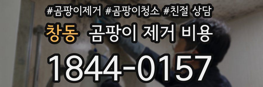 창동 곰팡이 제거 비용