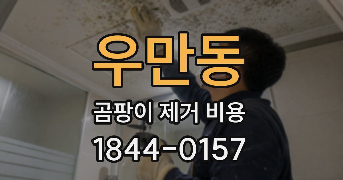 우만동 곰팡이 제거 비용