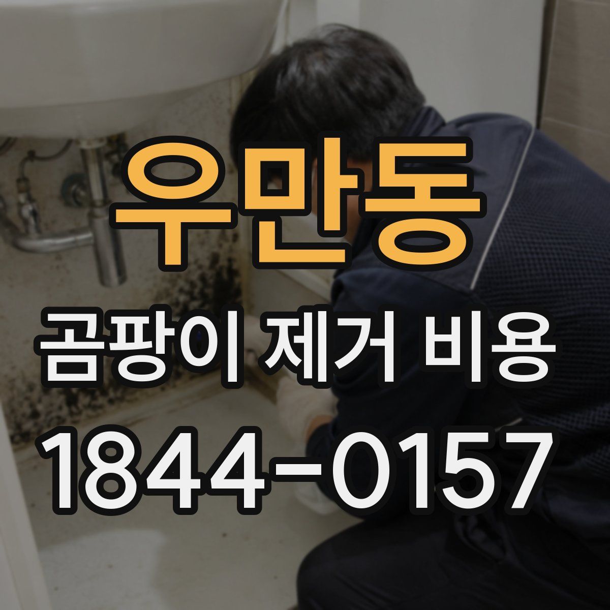 우만동 곰팡이 제거 비용