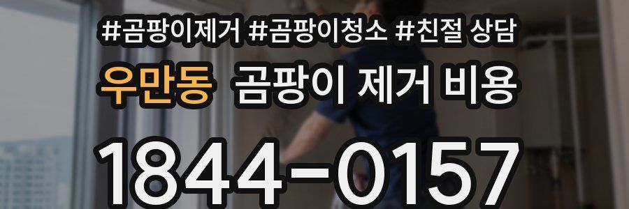 우만동 곰팡이 제거 비용