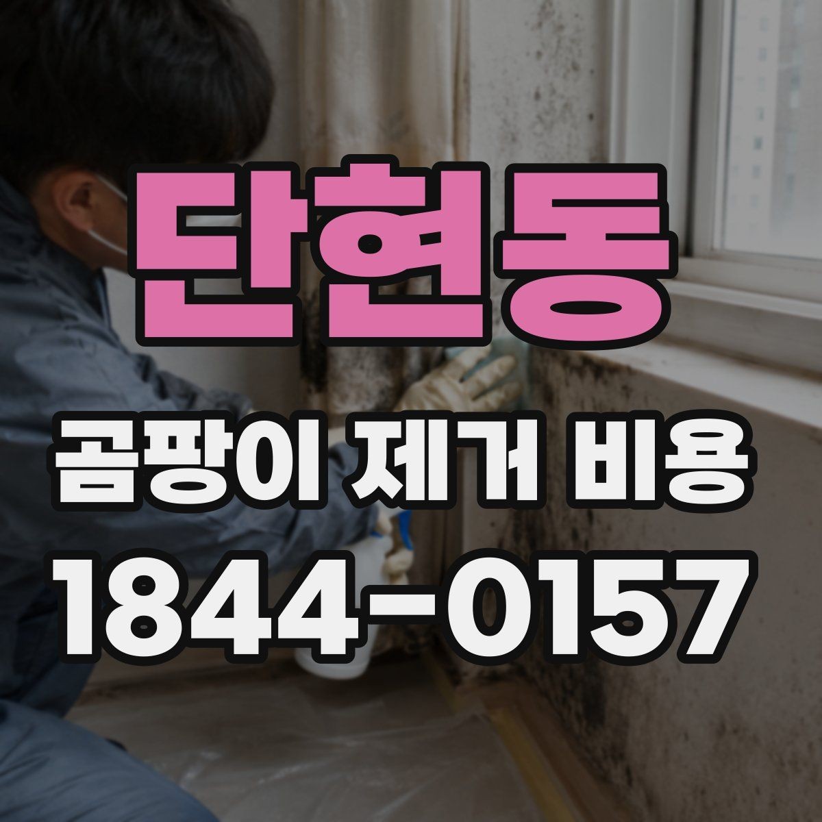 단현동 곰팡이 제거 비용 문의가 많은 이유와 확인 사항