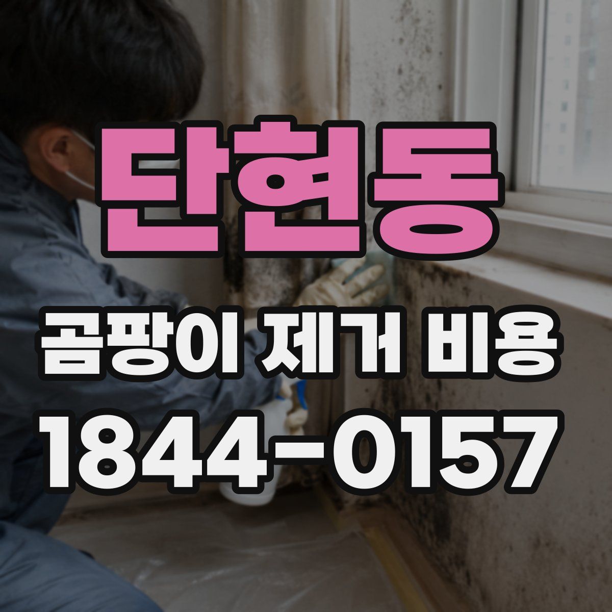 단현동 곰팡이 제거 비용