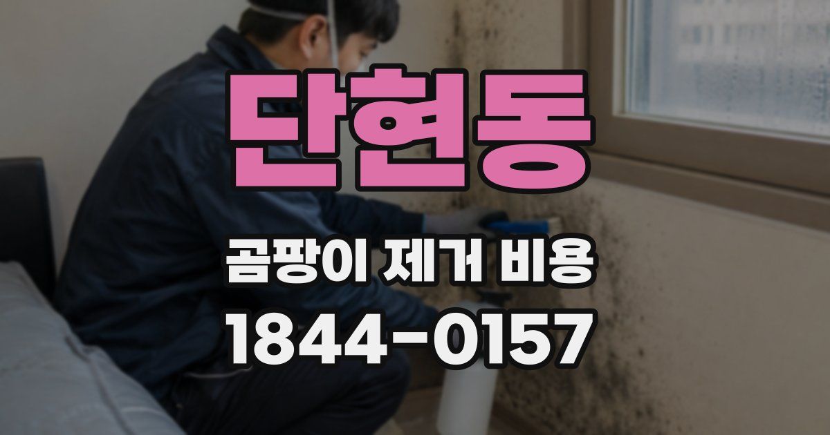 단현동 곰팡이 제거 비용