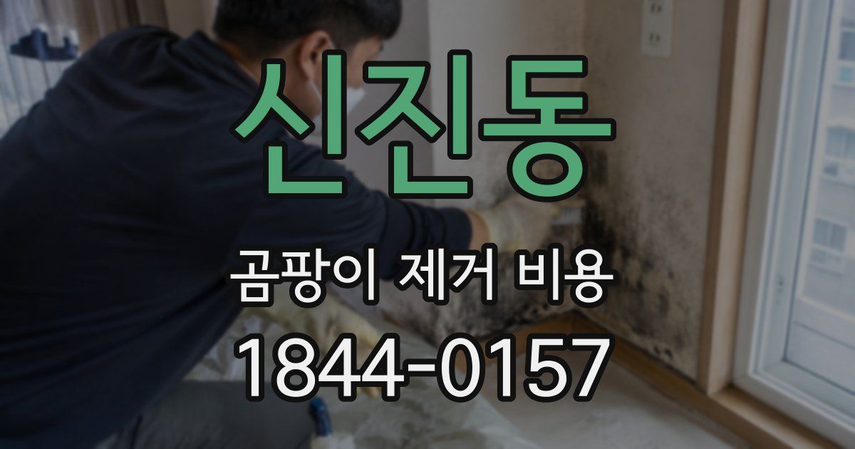 신진동 곰팡이 제거 비용