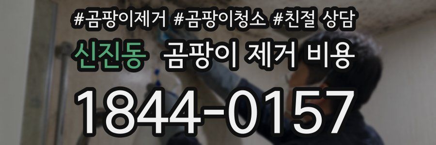 신진동 곰팡이 제거 비용