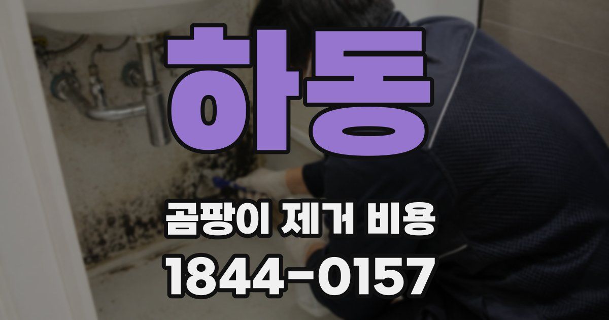 하동 곰팡이 제거 비용