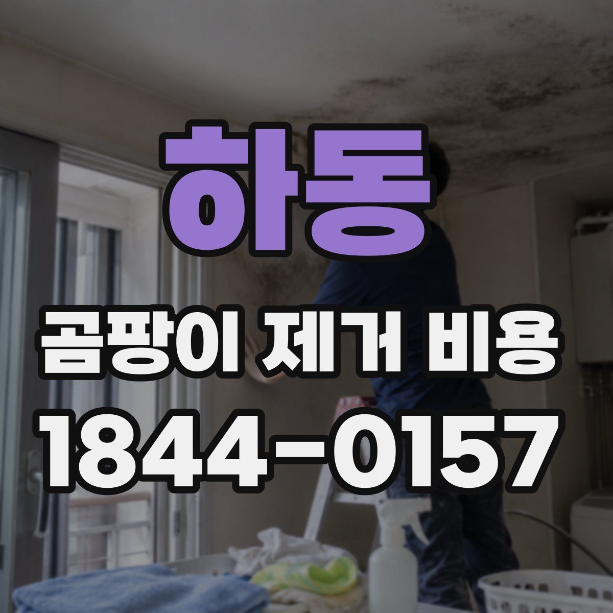 하동 곰팡이 제거 비용