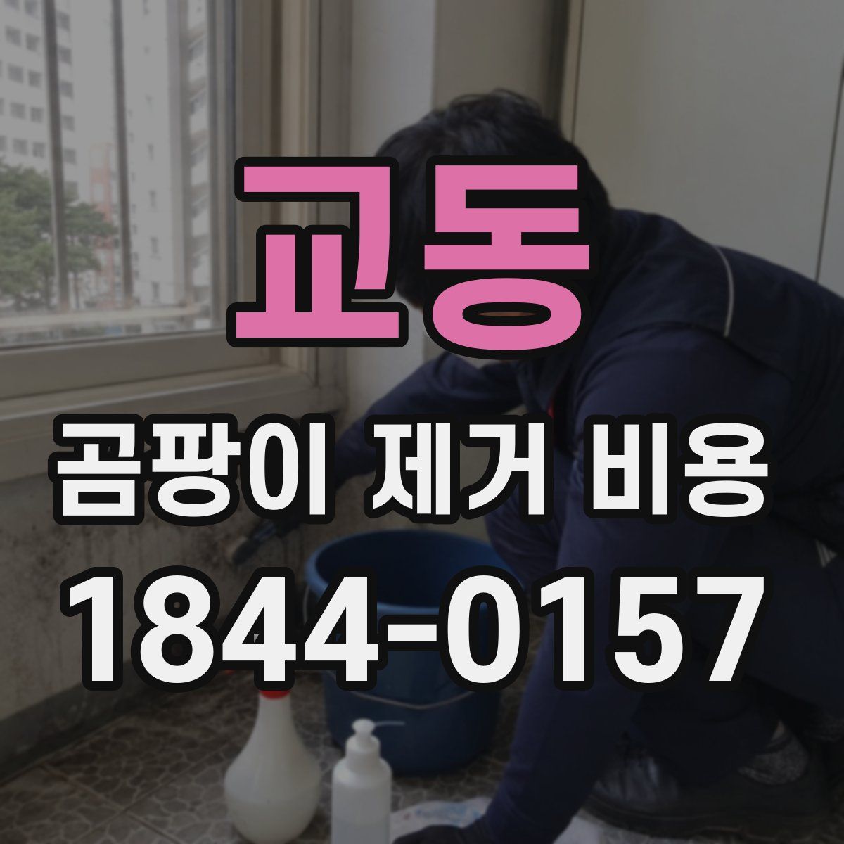 교동 곰팡이 제거 비용