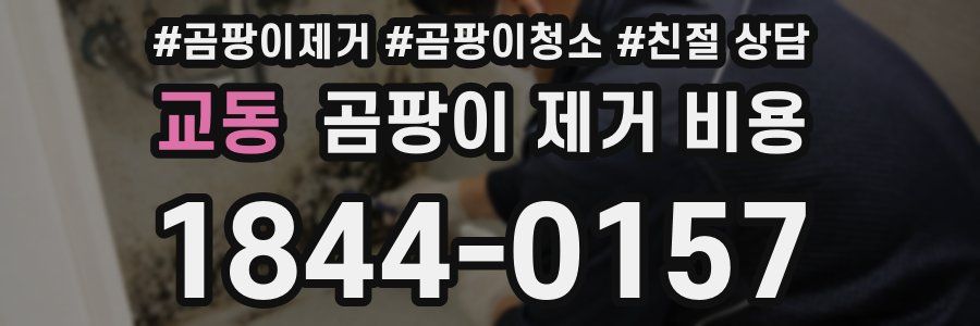 교동 곰팡이 제거 비용